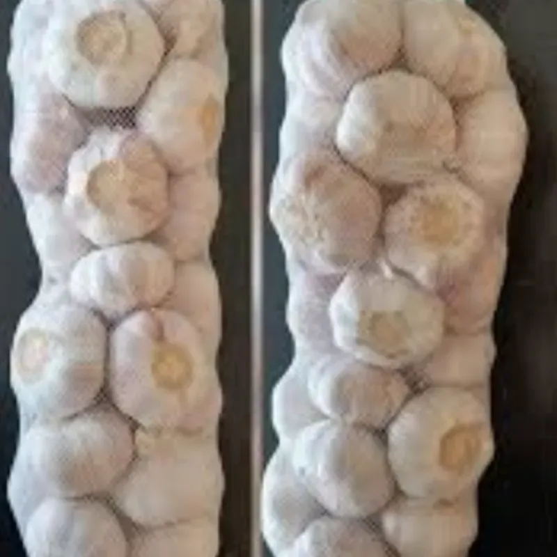 Ajo