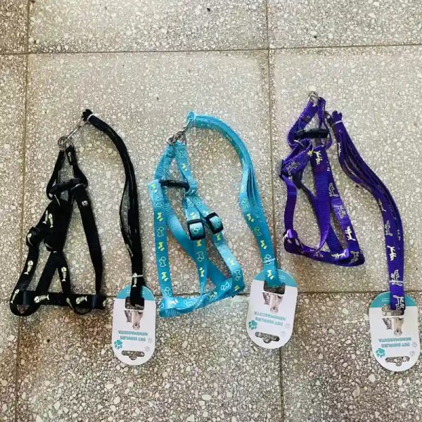 Correas de paseo