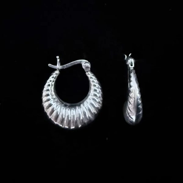 Argollas 411