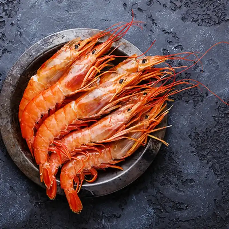 LANGOSTINO AUSTRAL GOURMET ENTERO L-2 C/12 KG 1000660 PRECIO 16.20