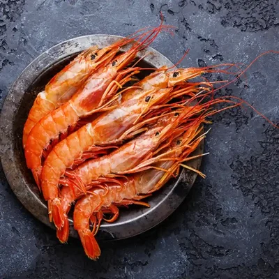 LANGOSTINO AUSTRAL GOURMET ENTERO L-2 C/12 KG 1000660 PRECIO 16.20