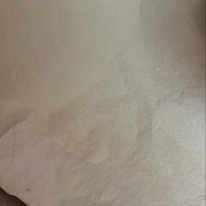 Leche en polvo bolsa de 1kg a granel