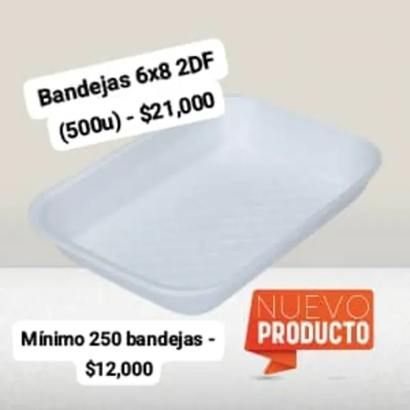 Bandejas 6x8 2DF