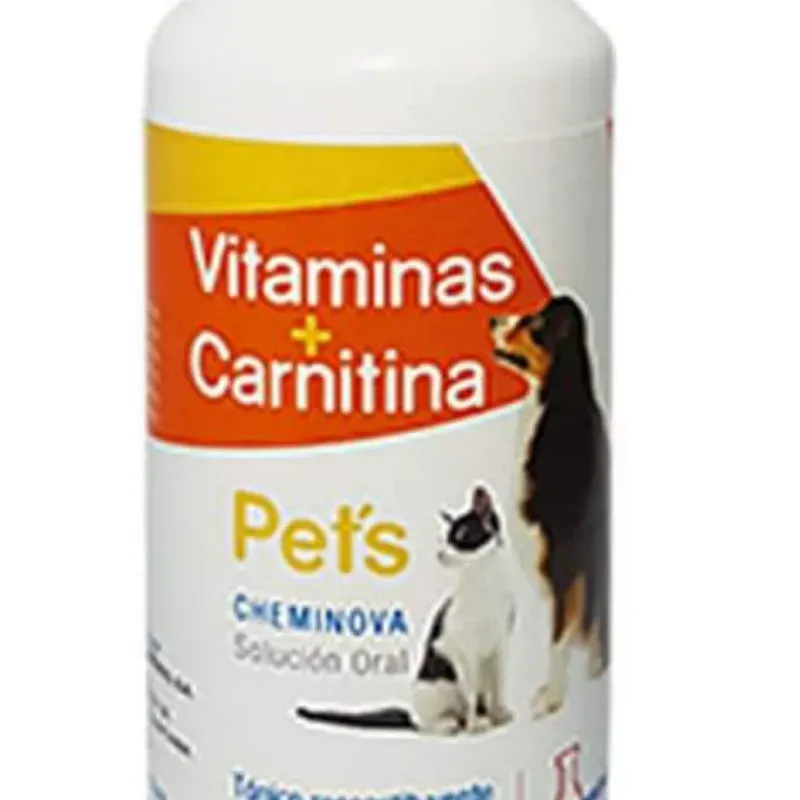 VITAMINAS + CARNITINAS 150 ml