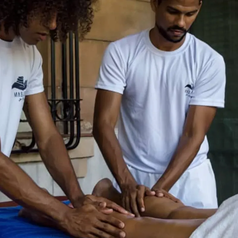 Shae's Academy incluye 