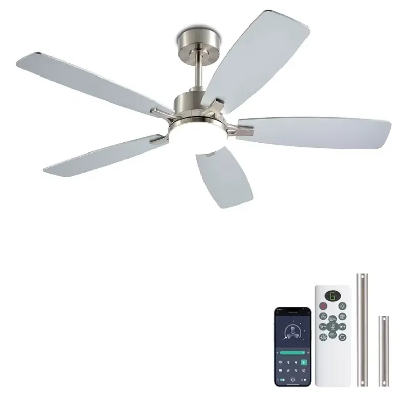 Ventilador de techo Silver