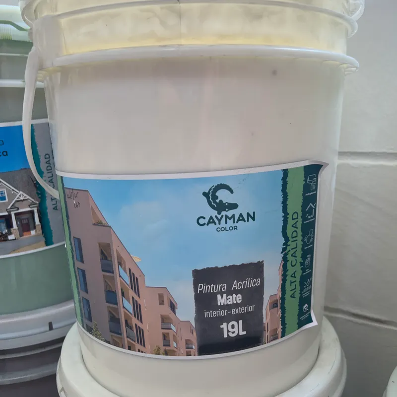 Blanco Pintura Mate 5 años 19 lts