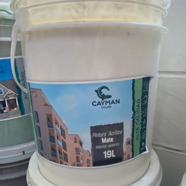Blanco Pintura Mate 5 años 19 lts