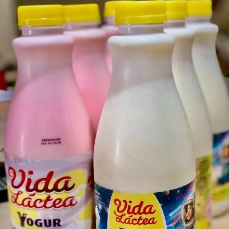 Yogurt probiótico 1L