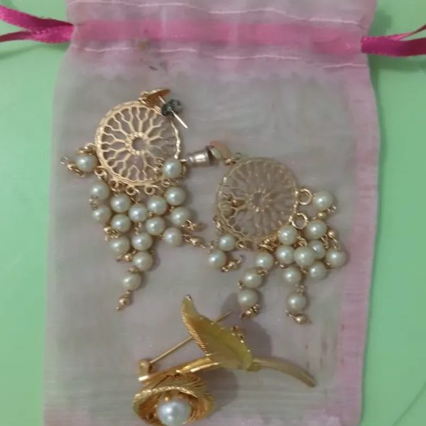 Juego de Aretes con prendedor
