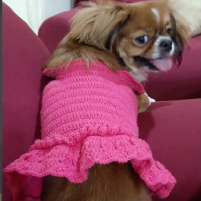 Vestido para perrita