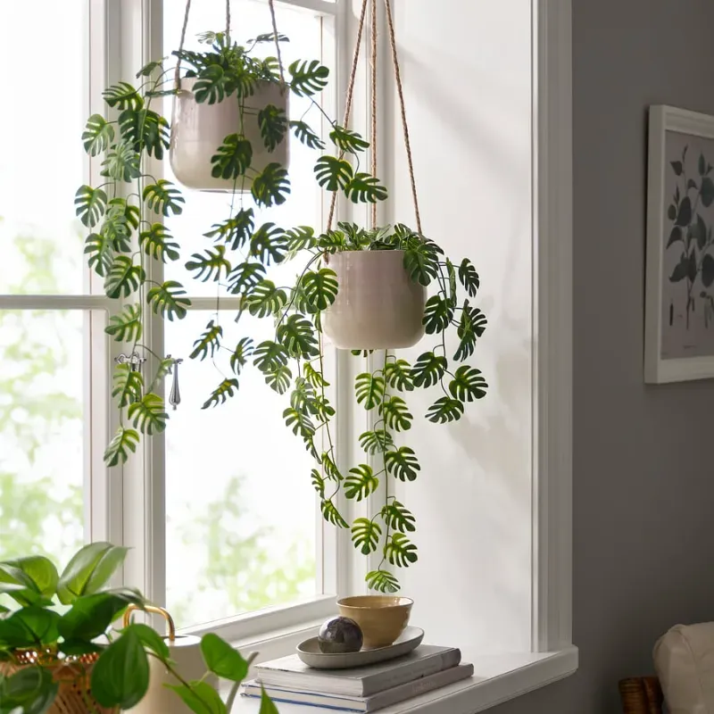 Maceta colgante tipo monstera