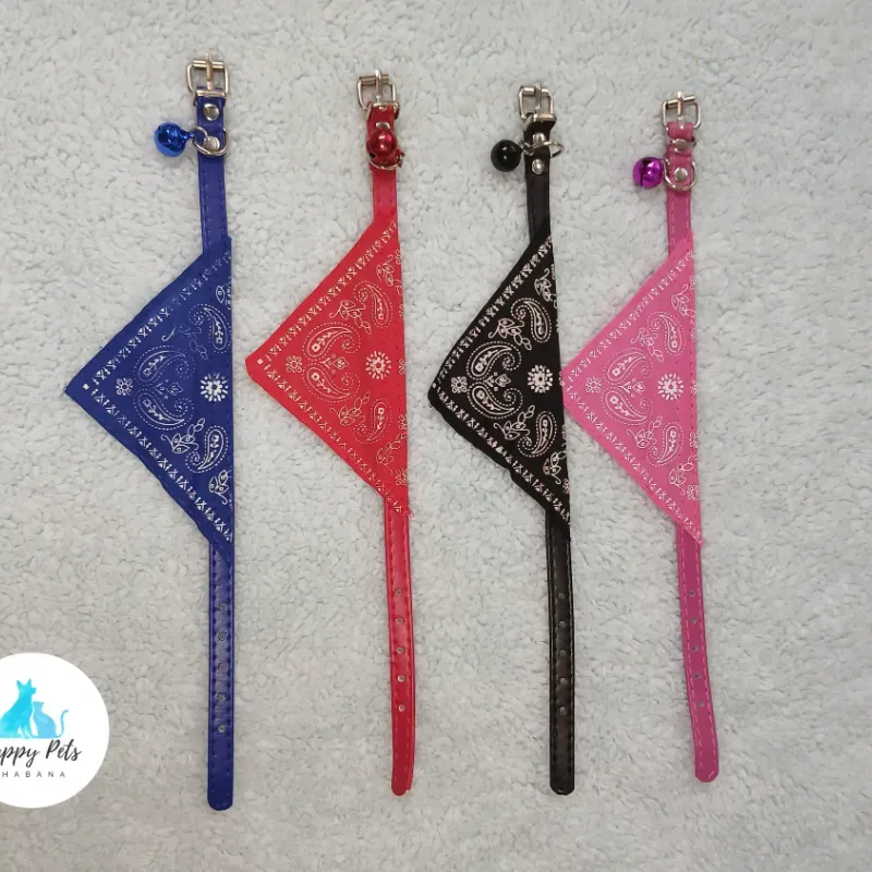 Collar con pañuelo