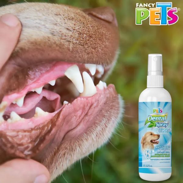 SPRAY DENTAL