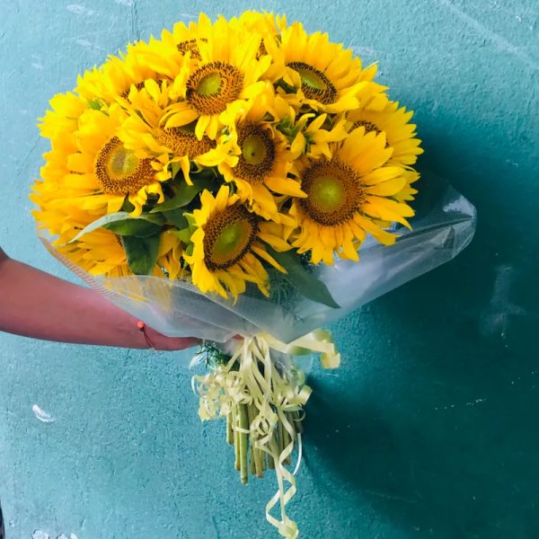 Gran Girasol