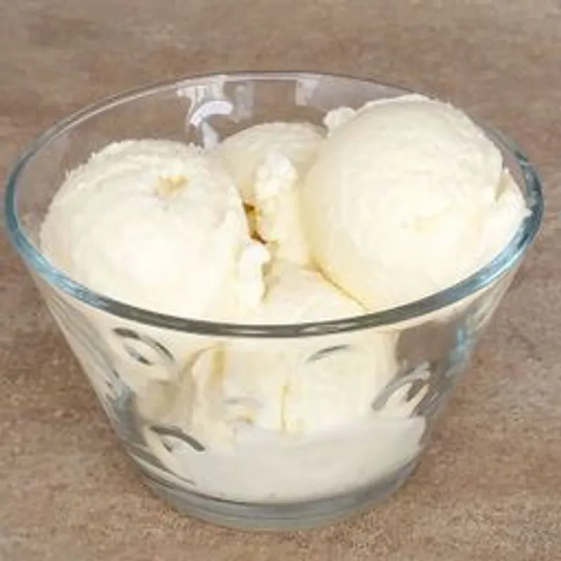 HELADO DE VAINILLA (10 L)