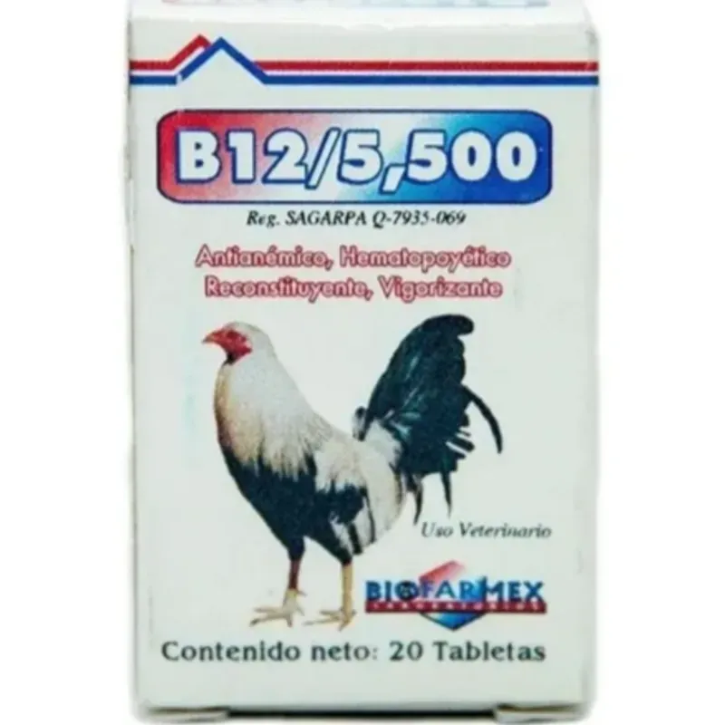 B12 de 5500