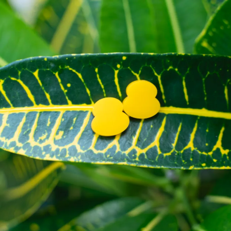 PENDIENTES POPPY MINI