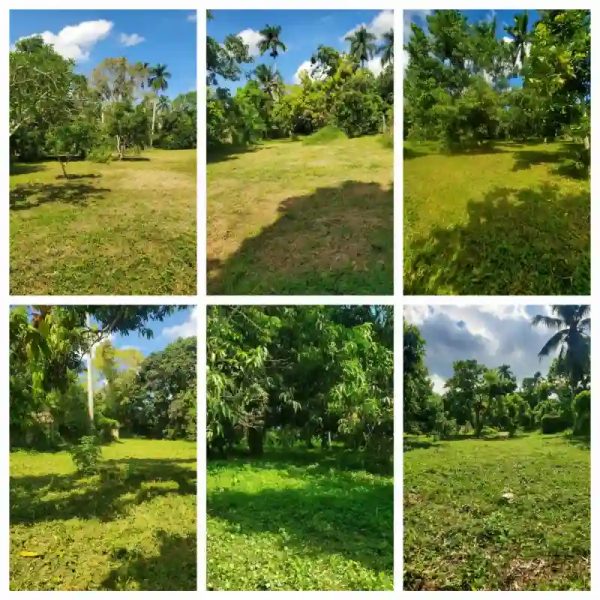 Finca en la lisa