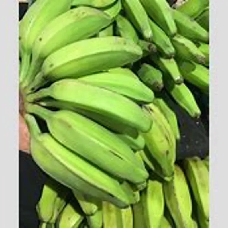 Plátano Burro 2 Manos