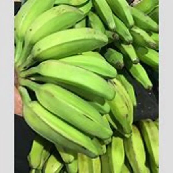Plátano Burro 2 Manos