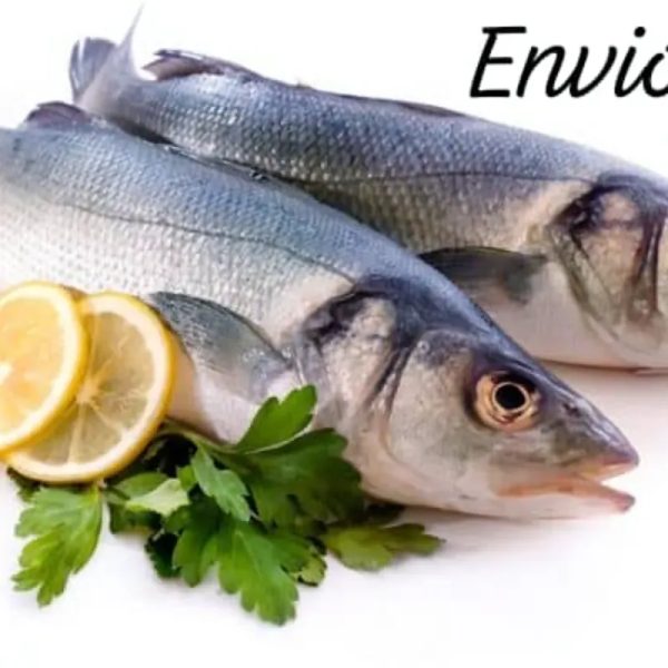 Pescado