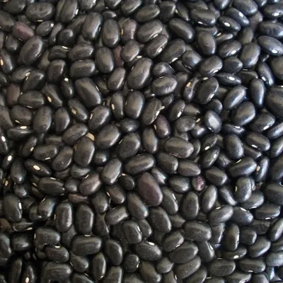 Frijol negro