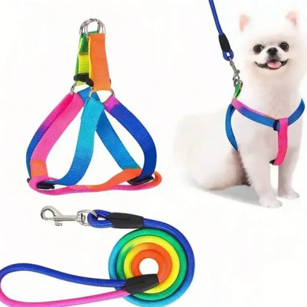 ARREO MULTICOLOR L