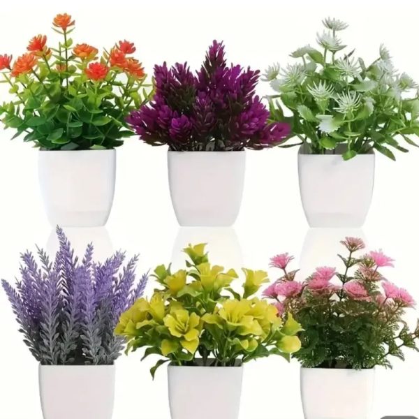 MACETAS CON FLORES