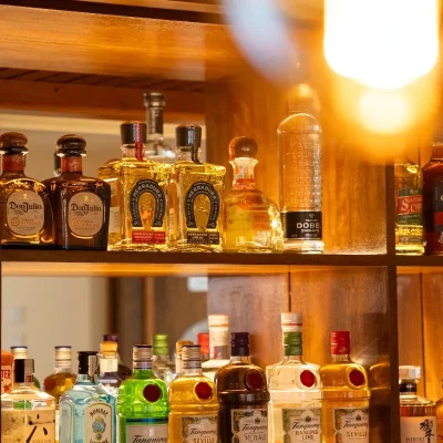 Cardenal Mendoza Anyelus