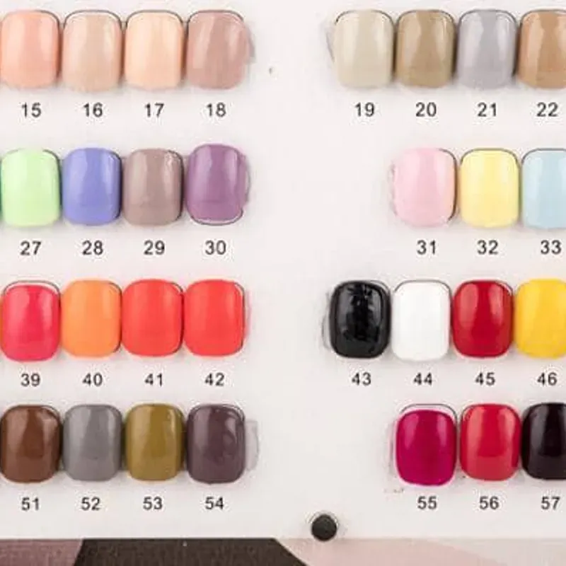 Pinturas Sólidas JR