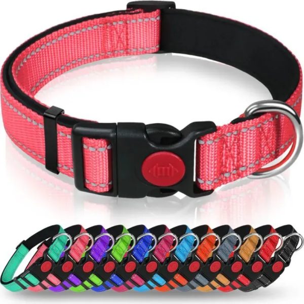 Collares para perros medianos y grandes