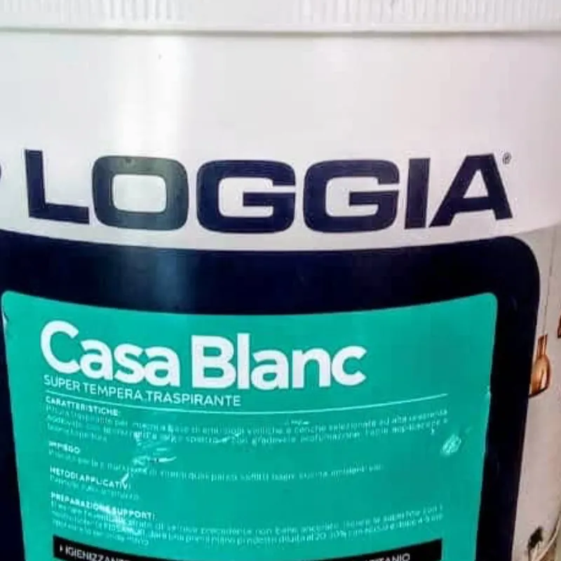 Pintura Casa Blanca 20L