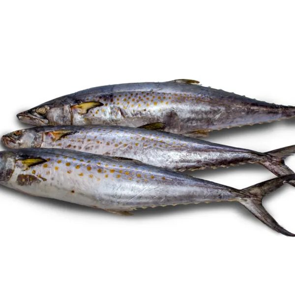 Pescado de mar