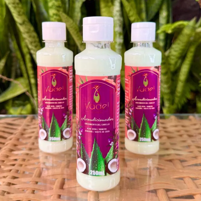 Acondicionador de Aloe Vera, Romero, Jengibre y Aceite de Coco