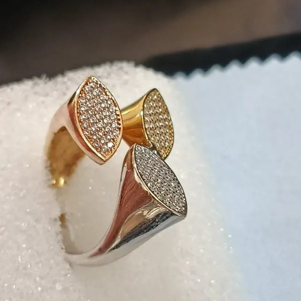 ANILLO