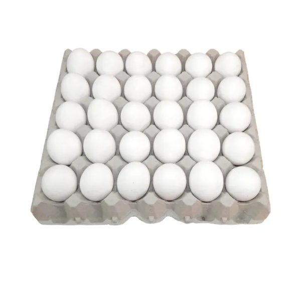 Cartón de huevos 30 unidades Oferta Premium