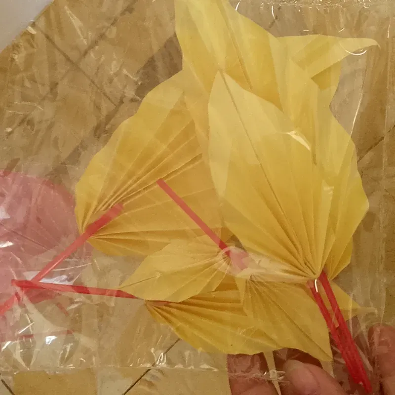 Set de abanicos amarillos