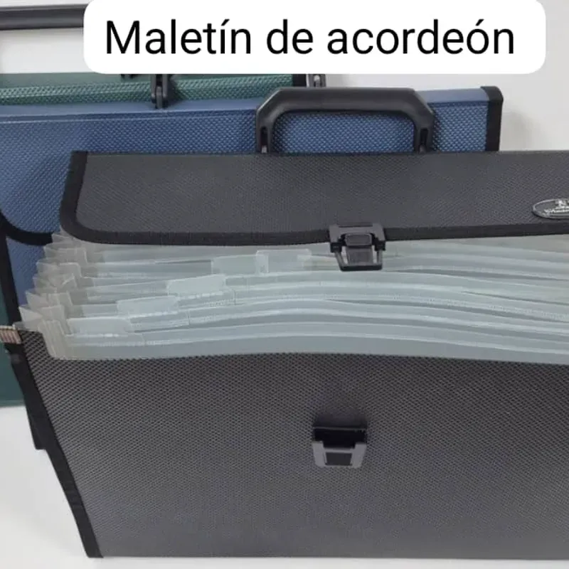  Maletín de Acordeón