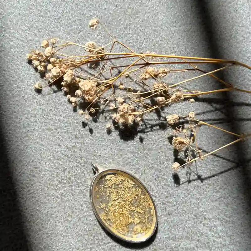 Dije plateado lluvia de oro ✨