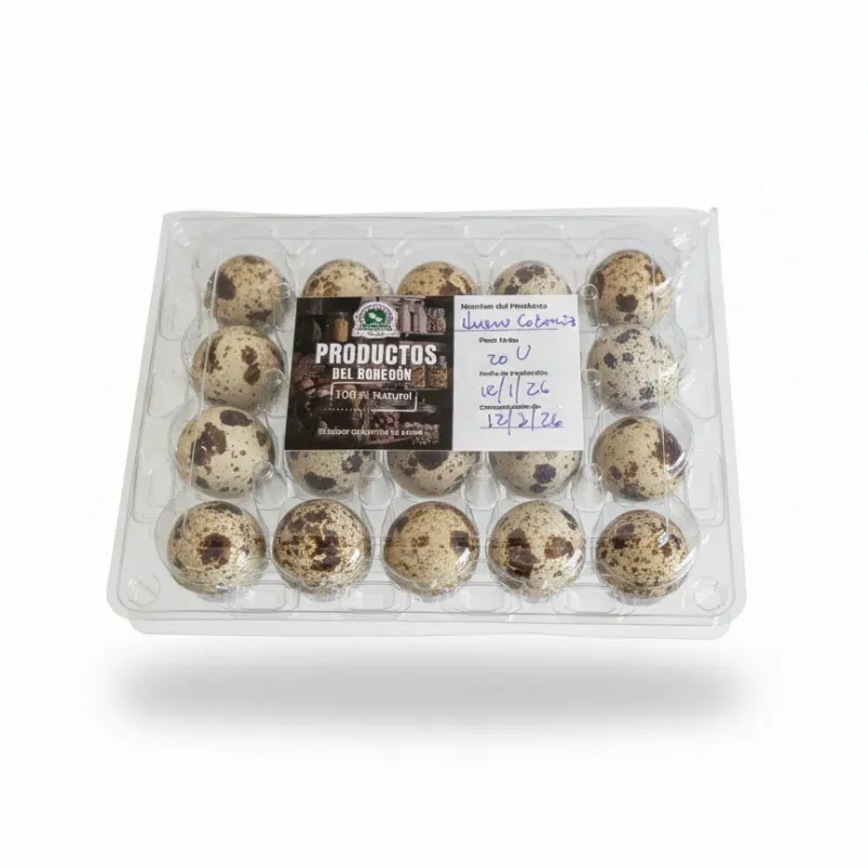 Huevos de Codorniz - 20 Unidades