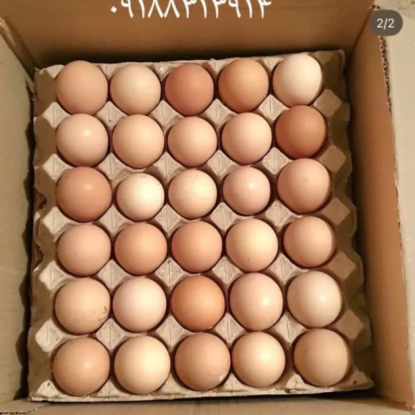 HUEVOS