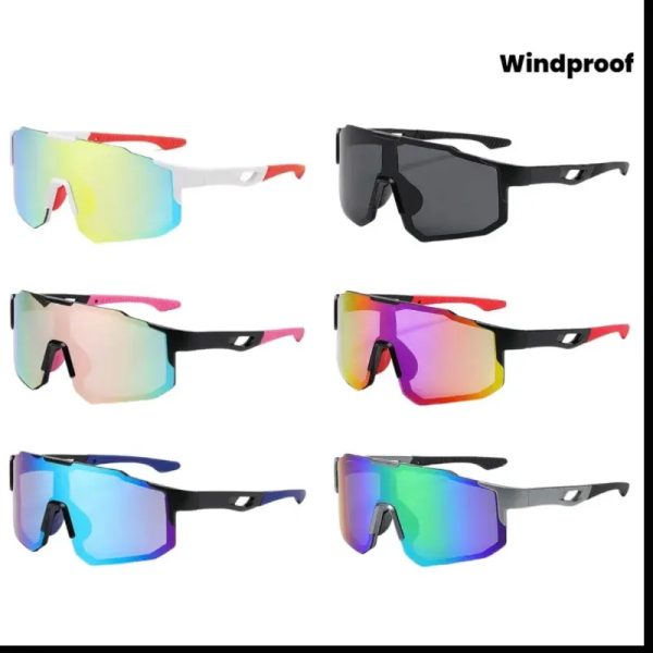Gafas de Moto