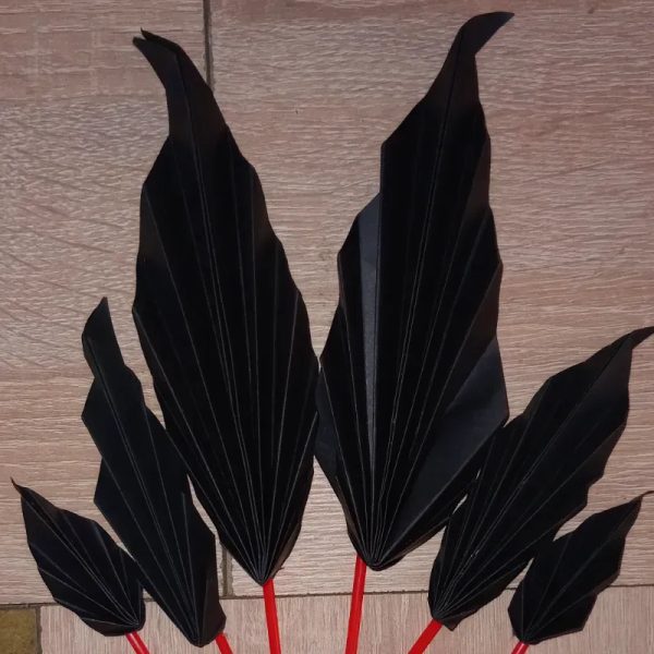 Set abanicos negros