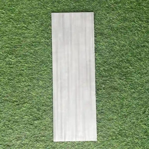 Losa de cerámica 20x60cm