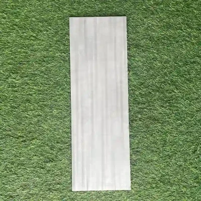 Losa de cerámica 20x60cm