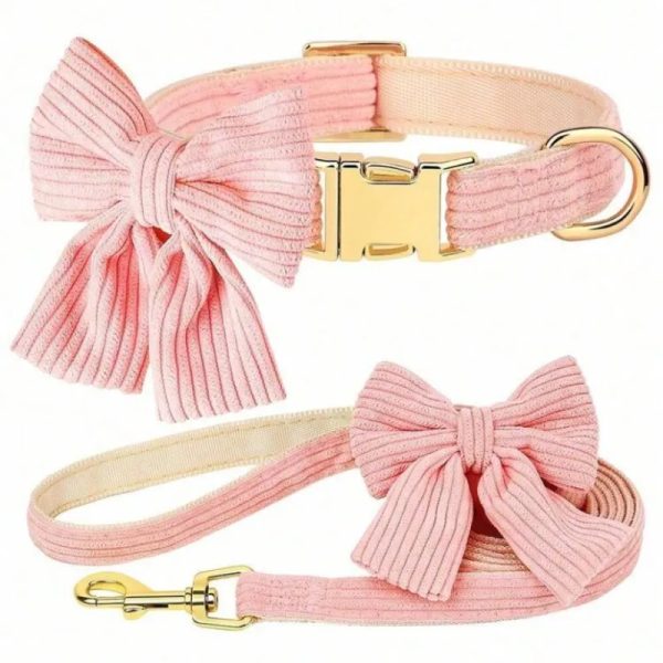 Collar con lazo y correa con lazo