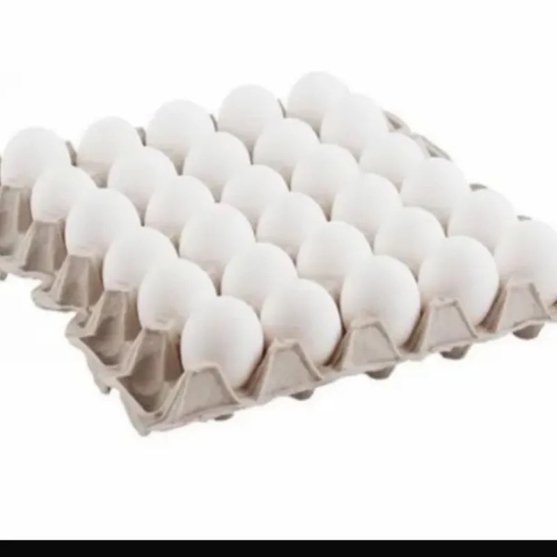 Huevo (Fili 30 unidades )