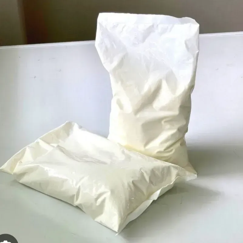 Leche en polvo