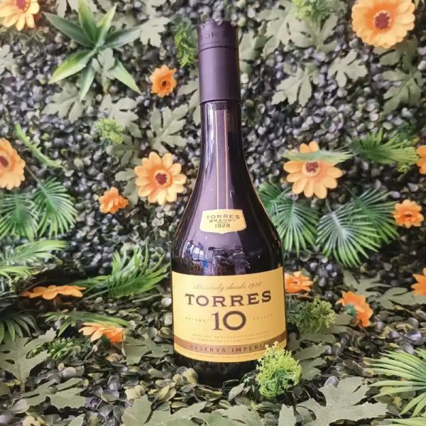 Brandy Torres 10